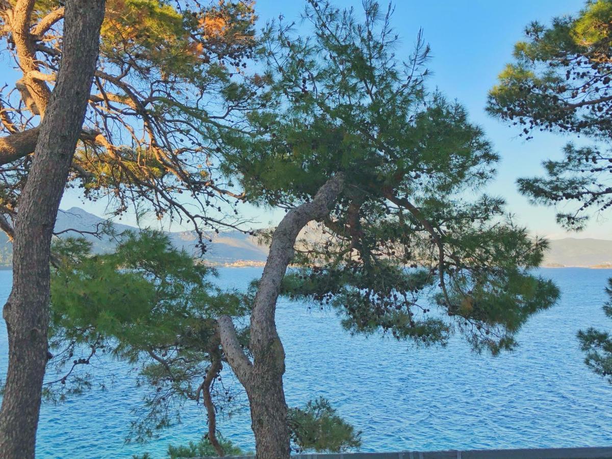 Rondina House Hotel Korčula Eksteriør billede